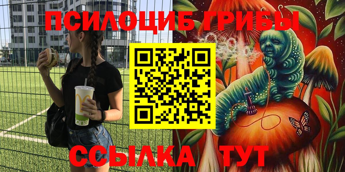 Псилоцибиновые грибы Psilocybe  Вход с VPN  где купить наркоту  Валуйки 