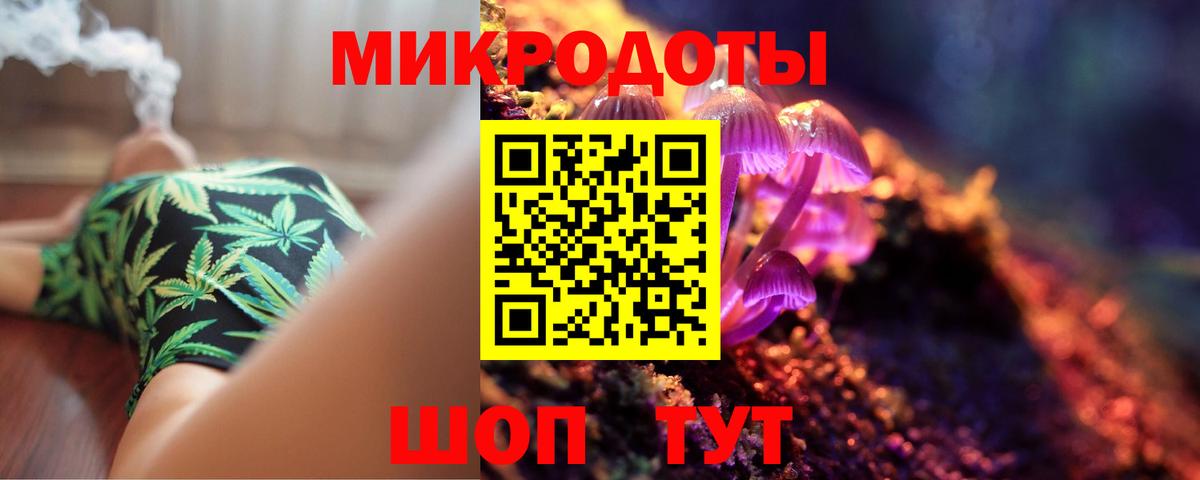 Псилоцибиновые грибы Psilocybine cubensis Валуйки